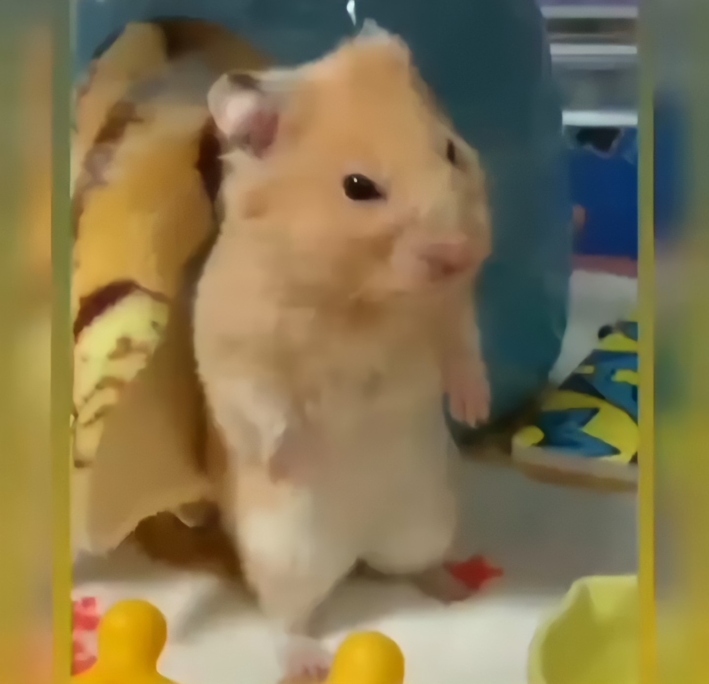 Sad hamster violin hamster. Грустный хомяк Мем звук.