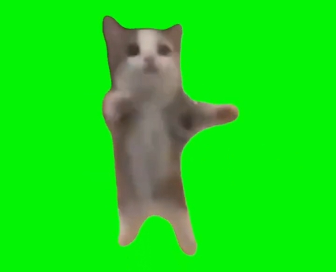 SAD CAT DANCE BUT HAPPY  Animation Meme 